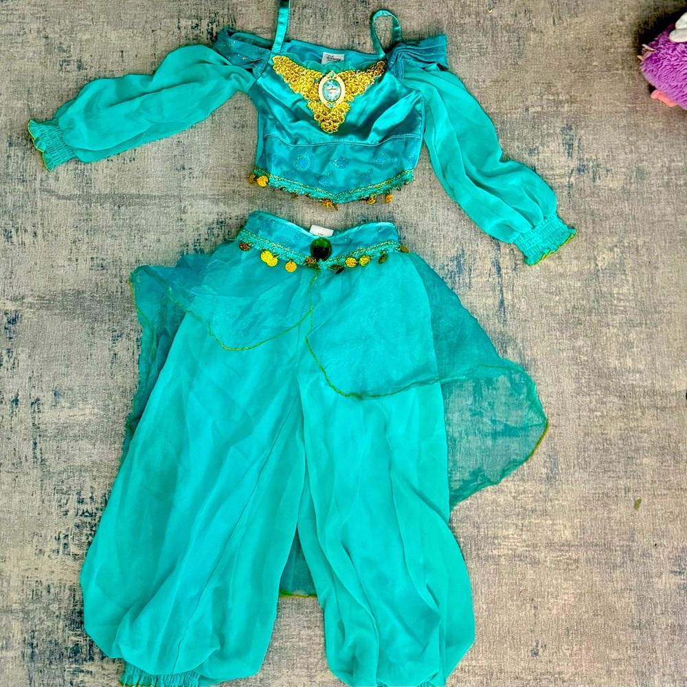 Princess Jasmin Costume